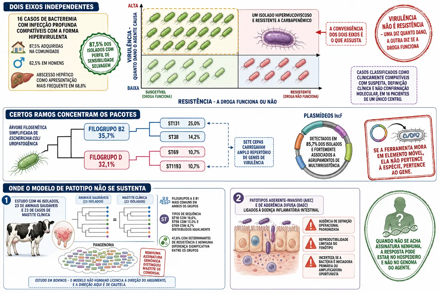 Plano cartesiano de virulência contra resistência com série de casos invasivos sensíveis, árvore filogenética com ramos que concentram pacotes e plasmídeo móvel, e blocos de mastite bovina sem assinatura genômica e de patotipo sem definição estável.
