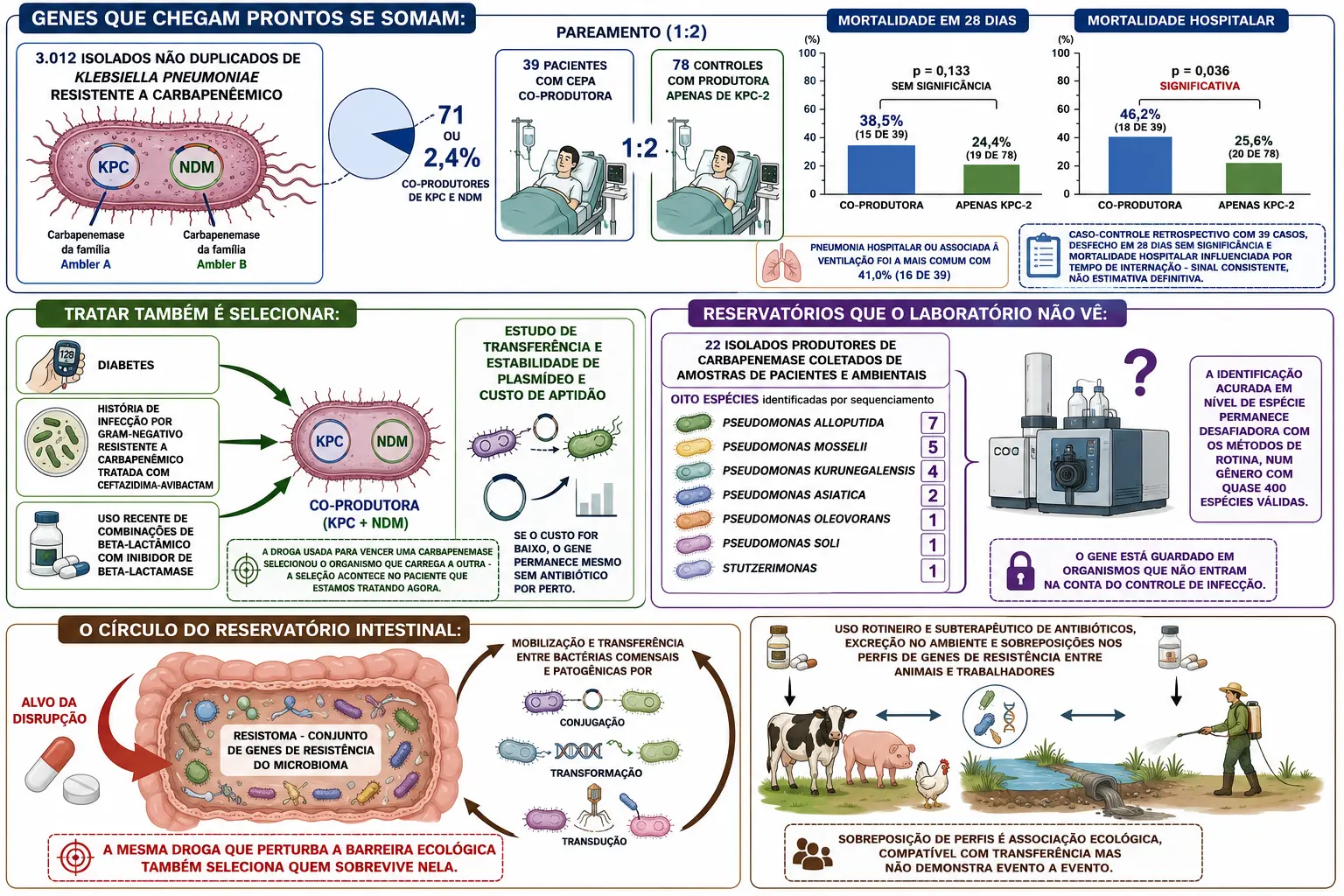 Bloco de isolados com fatia de co-produtores e barras de mortalidade, setas de fatores de risco convergindo para a cepa, oito espécies de reservatório contrastadas com aparelho de identificação de rotina, e intestino com resistoma em círculo com o antibiótico.