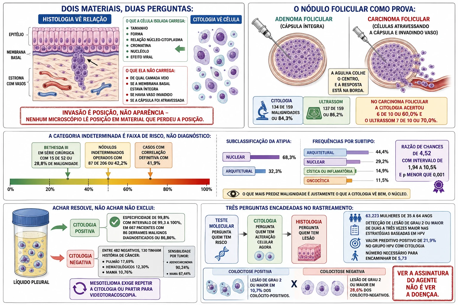 Corte histológico com camadas e membrana basal ao lado de lâmina com células soltas, nódulos folicular benigno e maligno com células centrais idênticas e diferença apenas na borda, régua de risco das categorias indeterminadas, frasco de líquido pleural com saídas assimétricas para positivo e negativo e fluxo de três perguntas encadeadas no rastreamento cervical.