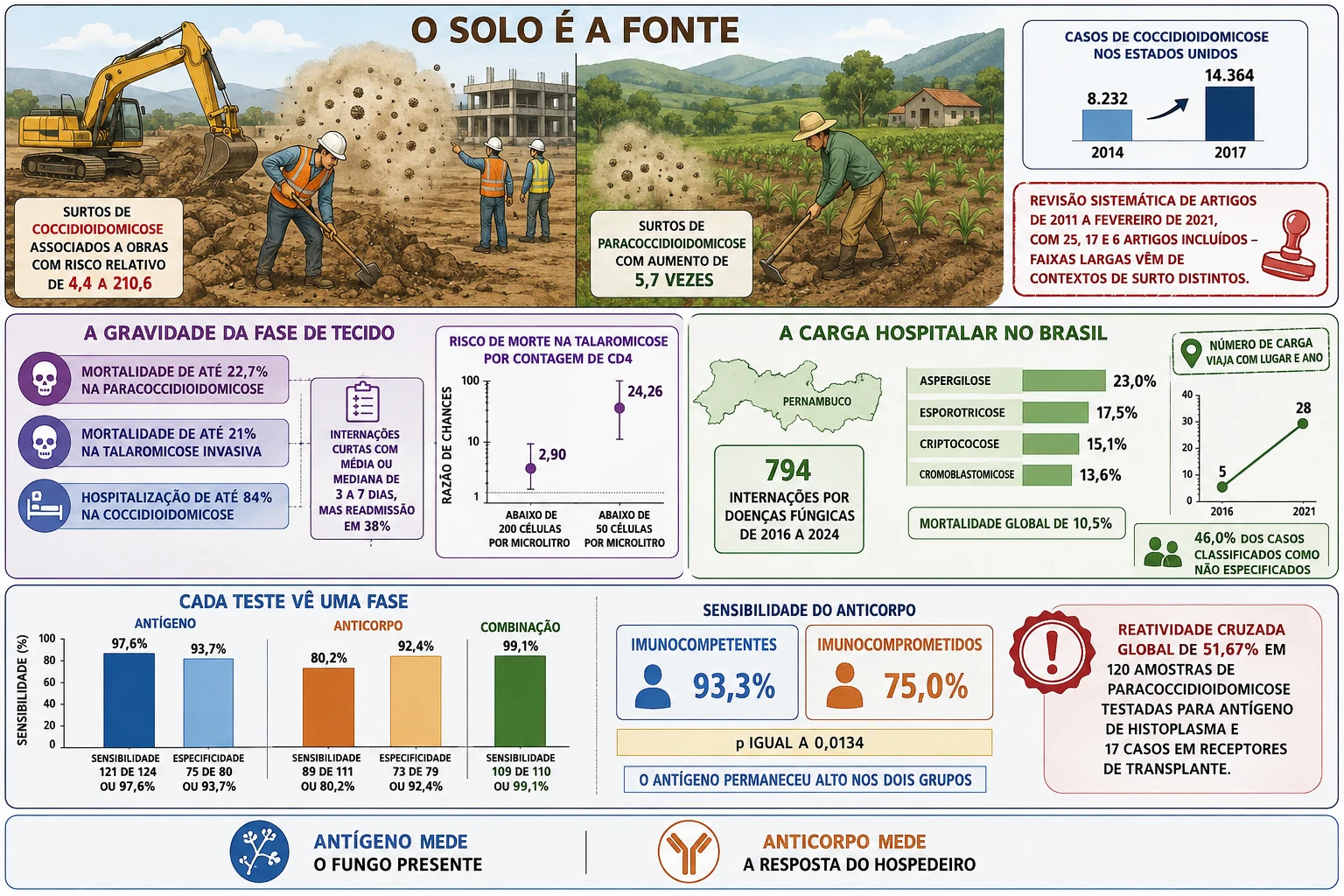Paisagem de obra e roça com nuvem de propágulos e dados de surto, barras de mortalidade e hospitalização das micoses endêmicas, mapa de Pernambuco com internações por doença fúngica, e comparação de sensibilidade entre antígeno, anticorpo e combinação com destaque para a queda do anticorpo no imunocomprometido.