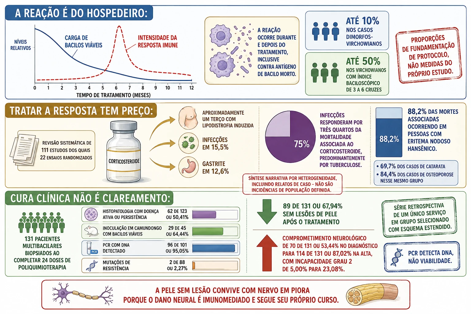 Linha do tempo com carga bacilar caindo e pico de resposta imune no meio do tratamento, frasco de corticosteroide com seus efeitos e concentração das mortes em um grupo, e bloco de pacientes biopsiados com quatro medidas de persistência ao lado de setas opostas de pele e nervo.