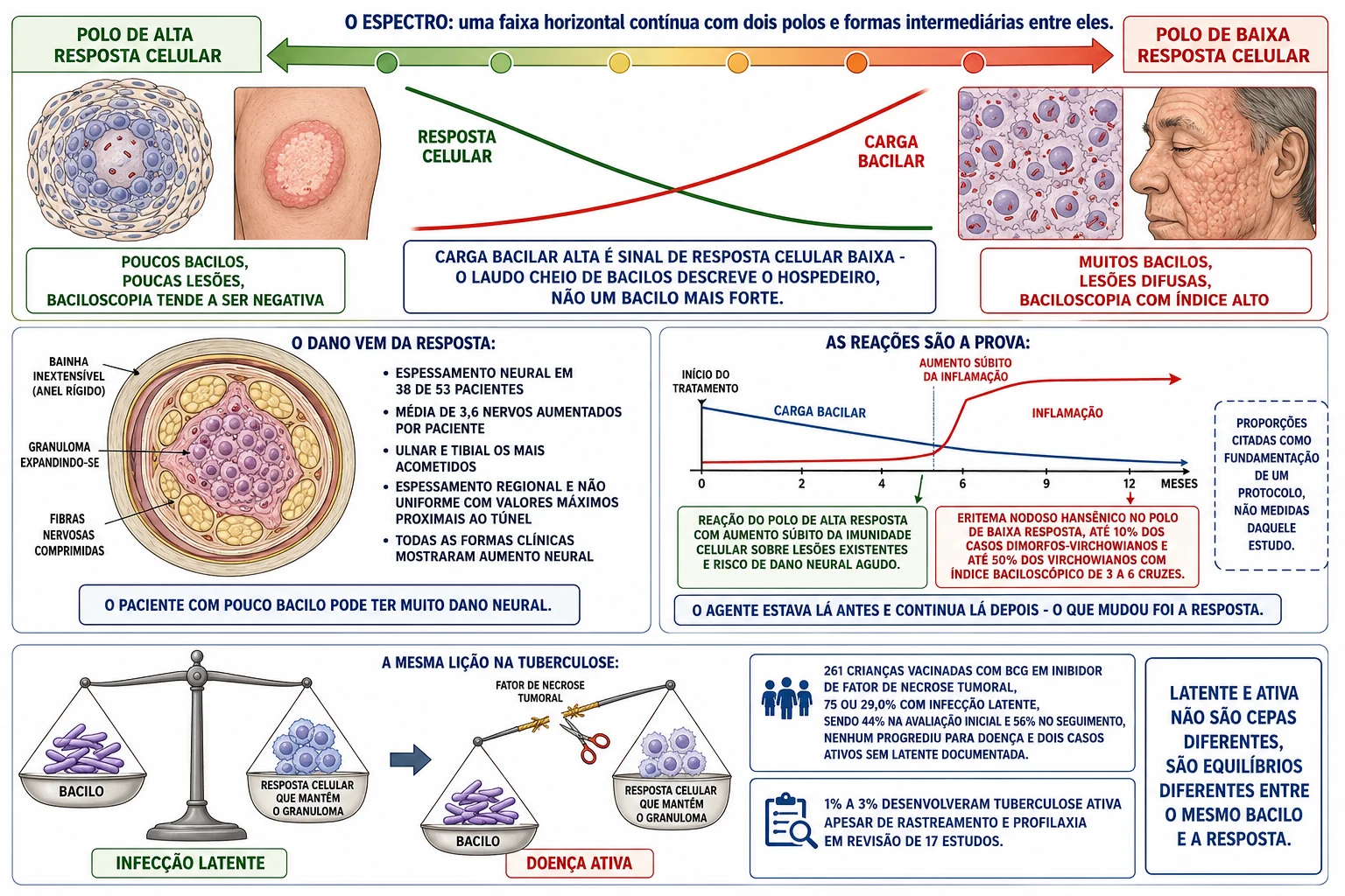 Faixa do espectro com granuloma organizado e lesão única de um lado e macrófagos repletos de bacilos com infiltração difusa do outro, curvas cruzadas de resposta e carga bacilar, nervo comprimido por granuloma em bainha rígida, linha do tempo das reações e balança de latência com a corda do fator de necrose tumoral sendo cortada.