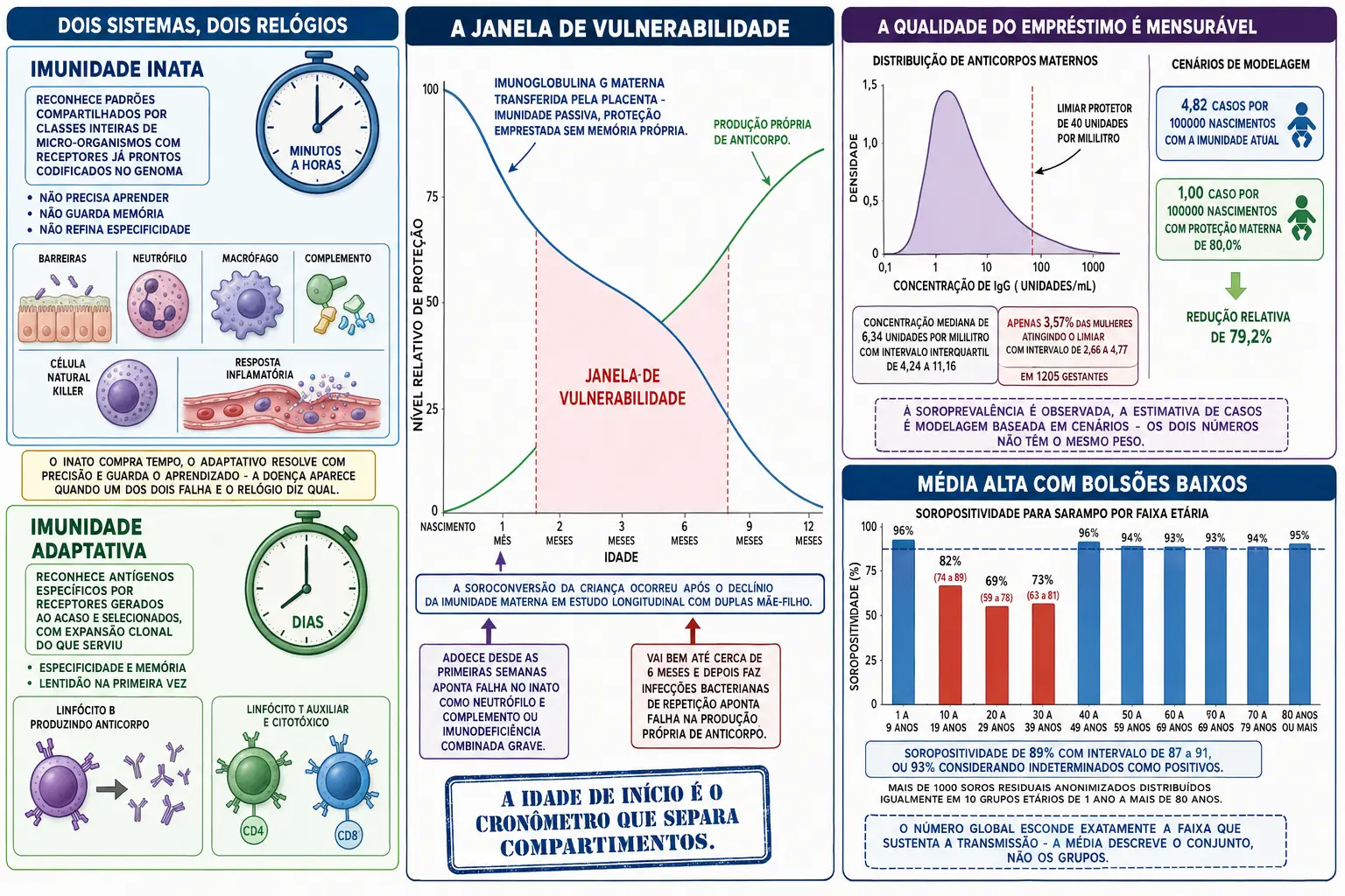 Blocos de imunidade inata e adaptativa com relógios de minutos e dias, gráfico com curva materna descendente cruzando a produção própria ascendente e janela sombreada, distribuição de anticorpos maternos abaixo do limiar com cenários de modelagem, e barras de soropositividade por faixa etária com bolsões baixos.