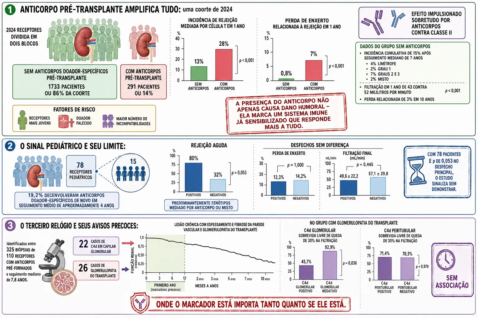 Coorte dividida por presença de anticorpos pré-transplante com barras de incidência e perda, bloco pediátrico com rejeição aguda e desfechos sem diferença, e linha do tempo de lesão crônica com marcadores precoces de C4d glomerular e peritubular.