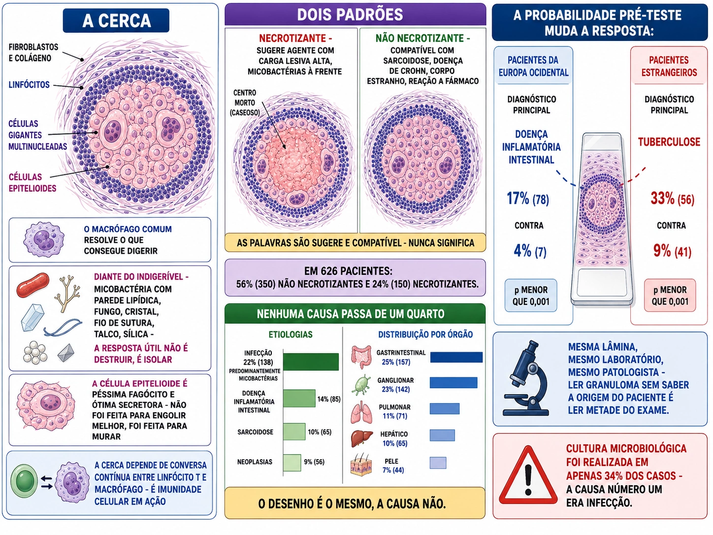 Granuloma esquemático com células epitelioides, gigantes multinucleadas e anel de linfócitos, comparação entre granuloma necrotizante e não necrotizante, barras de etiologias e órgãos da coorte de 626 pacientes, e duas colunas mostrando como a origem do paciente muda o diagnóstico mais provável.
