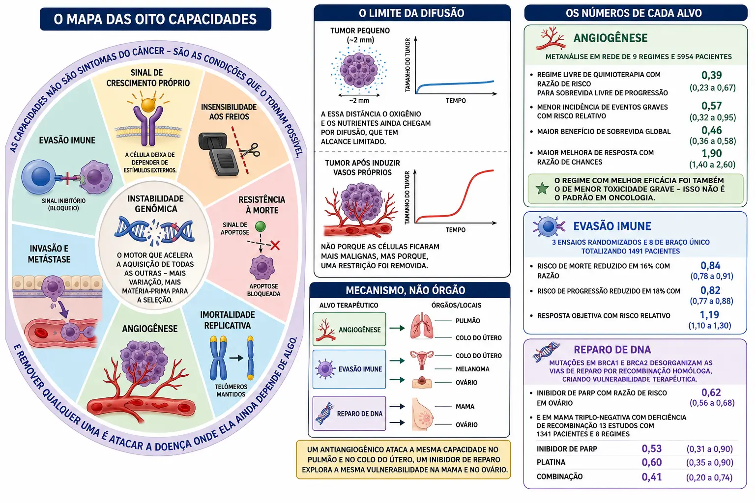 Círculo com oito setores de capacidades e instabilidade genômica ao centro, tumor limitado por difusão que muda de regime após angiogênese, coluna de alvos ligada a múltiplos órgãos, e três blocos com os números de cada alvo.
