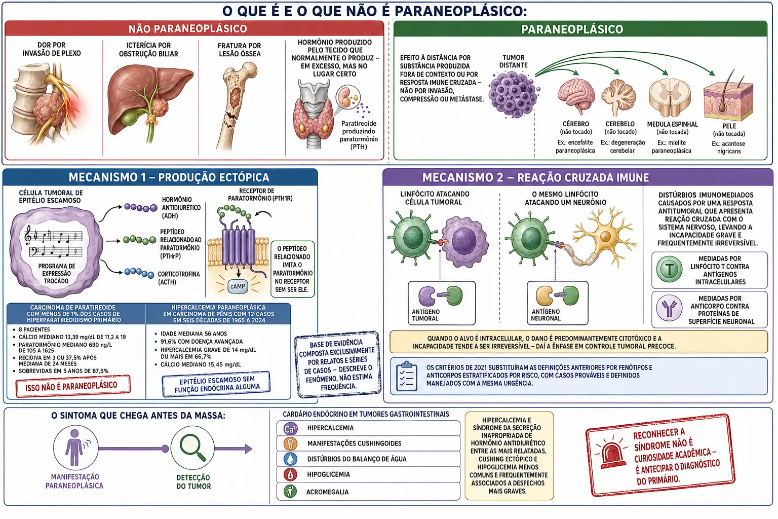 Divisória separando manifestações por invasão das paraneoplásicas, célula tumoral com programa trocado produzindo peptídeos hormonais e contraste numérico entre carcinoma de paratireoide e hipercalcemia de carcinoma de pênis, linfócito atacando tumor e neurônio, e linha do tempo com a manifestação precedendo a detecção.
