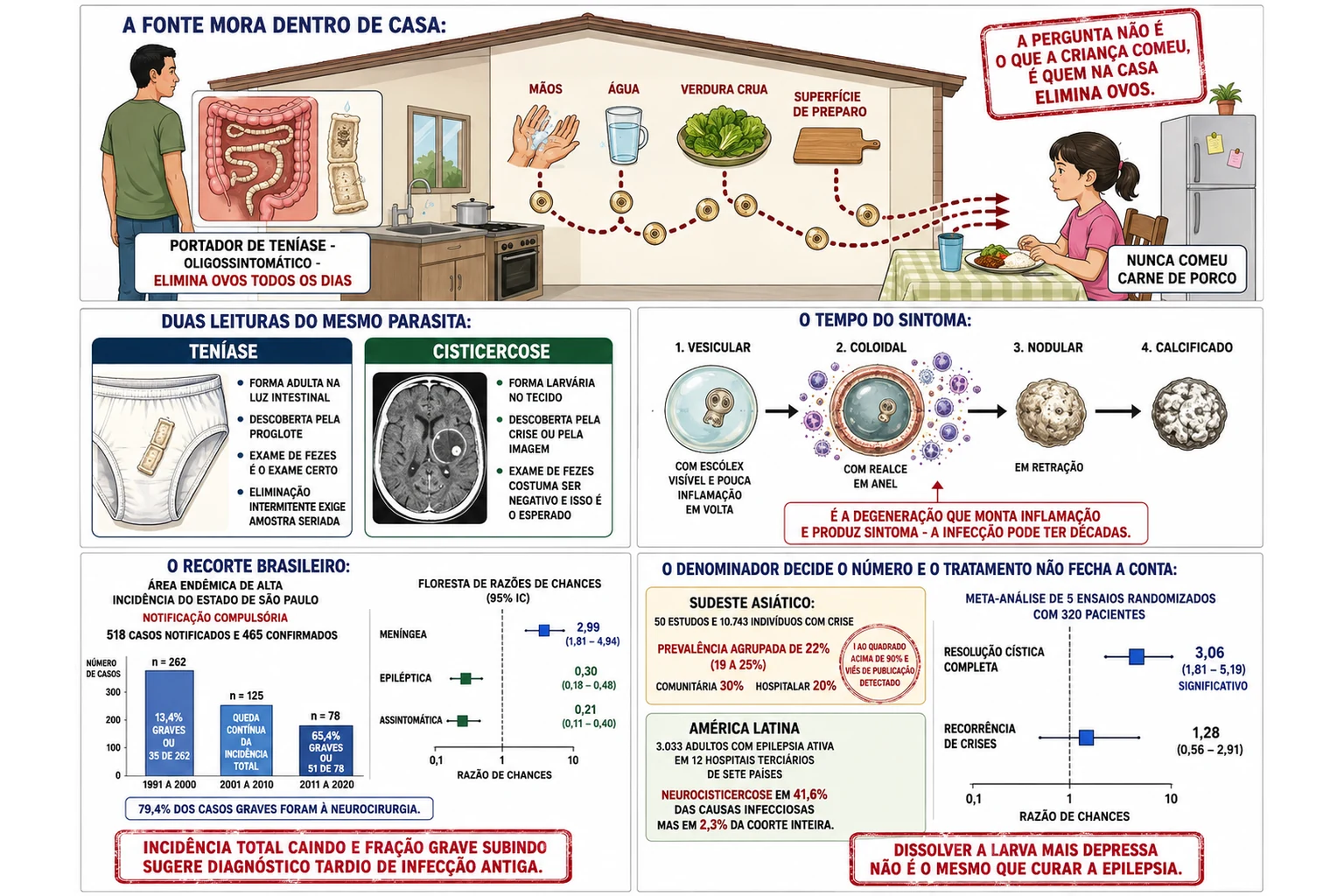 Corte de casa com portador de teníase eliminando ovos e a trilha fecal-oral até a criança, duas fichas clínicas comparando teníase e cisticercose, linha do tempo dos estágios do cisto com a inflamação na degeneração, barras dos três decênios da série de São Paulo com razões de chances e caixas de prevalência por denominador ao lado das barras da meta-análise de tratamento.