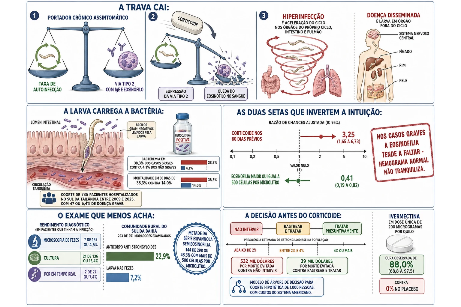 Balança do portador desequilibrada pelo corticoide, espiral de hiperinfecção e silhueta com larvas em órgãos fora do ciclo, larva atravessando a parede intestinal com bacilos, eixo de razões de chances com corticoide de 3,25 e eosinofilia de 0,41, colunas de rendimento dos exames de fezes e régua de prevalência com as três estratégias antes do corticoide.