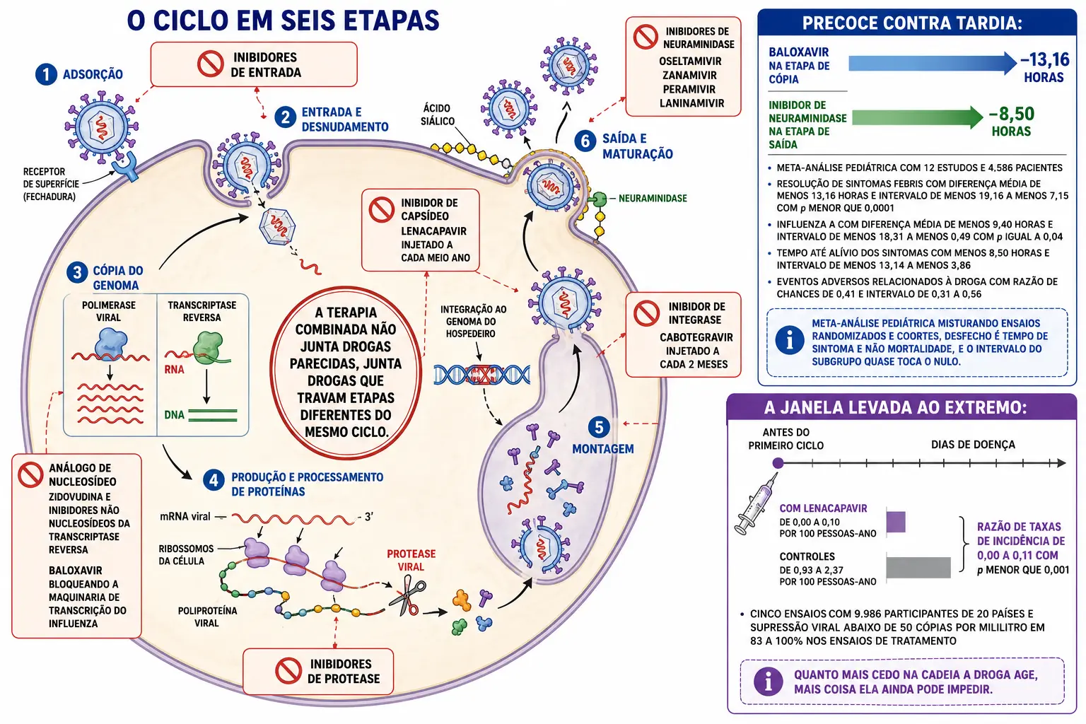 Célula hospedeira em corte com o ciclo viral numerado em seis etapas e placas de bloqueio nomeando a classe de droga de cada etapa, ao lado de barras comparando droga precoce e tardia na influenza e de barras de incidência de HIV com profilaxia.