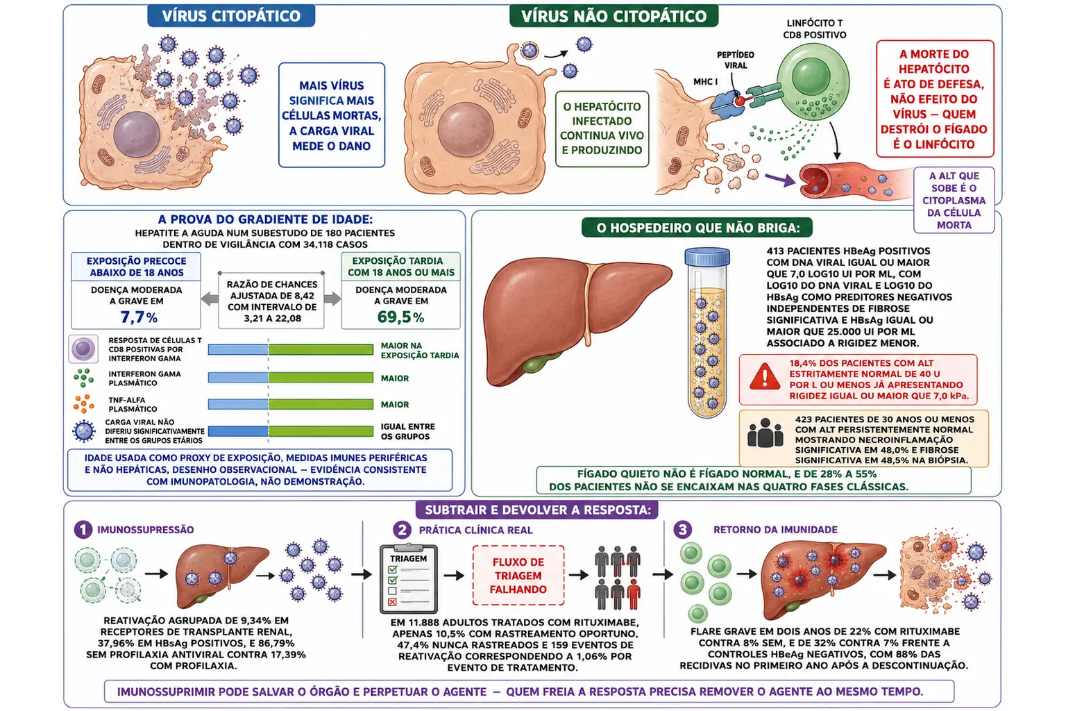 Comparação entre vírus citopático e não citopático com linfócito T matando hepatócito infectado, colunas de gravidade por idade na hepatite A com carga viral igual, fígado macio com carga viral altíssima e alerta de lesão oculta, e linha do tempo da imunossupressão até o flare de reconstituição.
