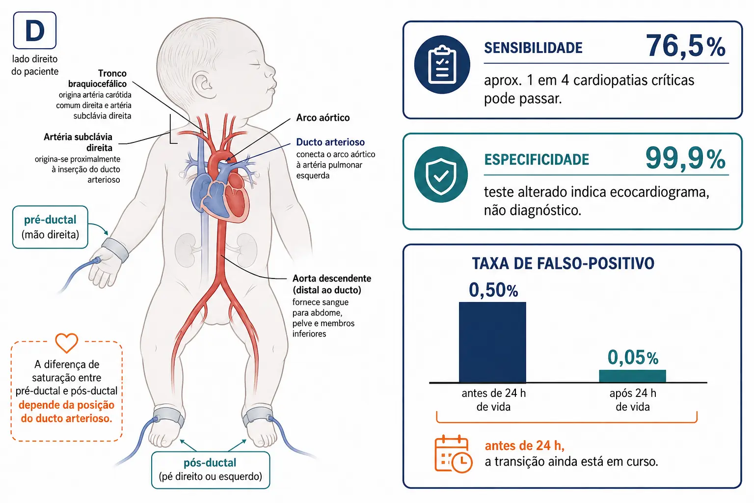 Recém-nascido com oxímetro na mão direita pré-ductal e no pé pós-ductal, mostrando que a diferença depende do ducto arterioso, ao lado dos números do rastreamento e da comparação de falso-positivo antes e depois de 24 horas.