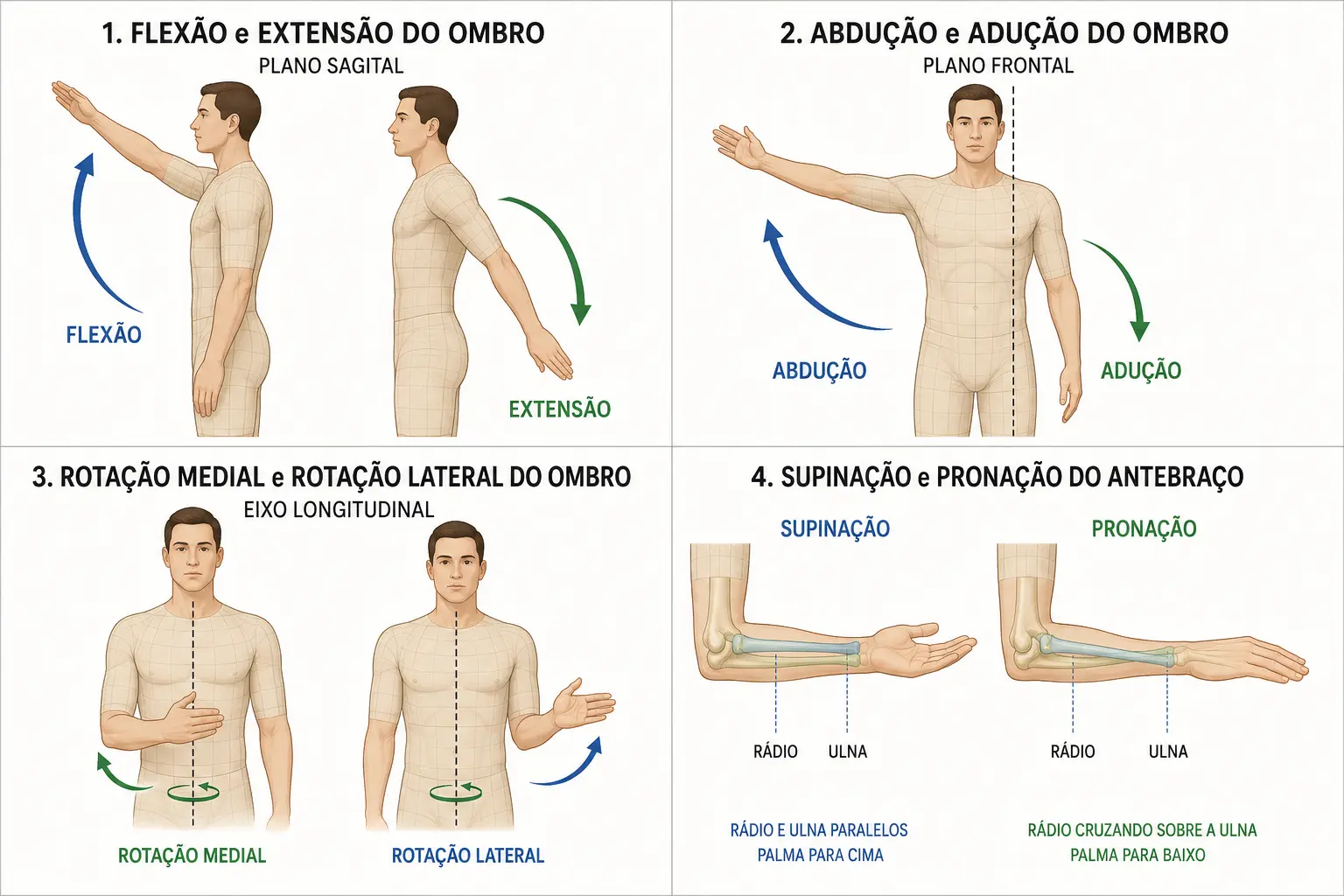 Quatro quadros mostrando flexão/extensão no plano sagital, abdução/adução no plano frontal, rotação medial/lateral e pronação/supinação com o rádio cruzando a ulna.