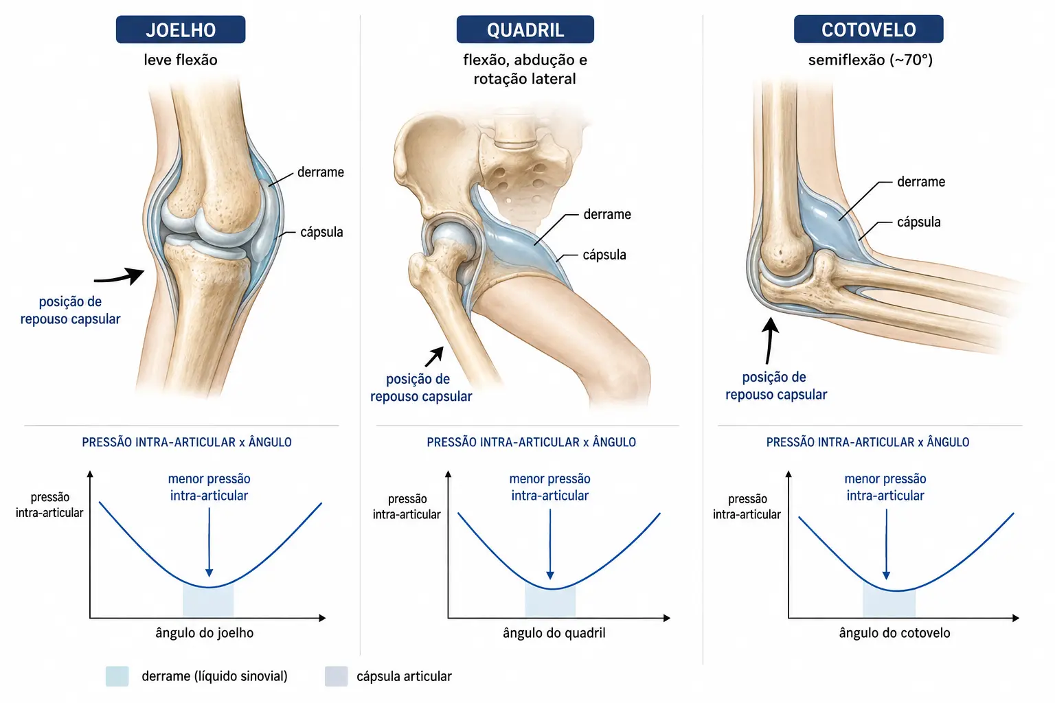 Três painéis mostrando joelho em leve flexão, quadril em flexão com abdução e rotação lateral e cotovelo em semiflexão, com a cápsula distendida e curva de pressão intra-articular mínima nessas posições.