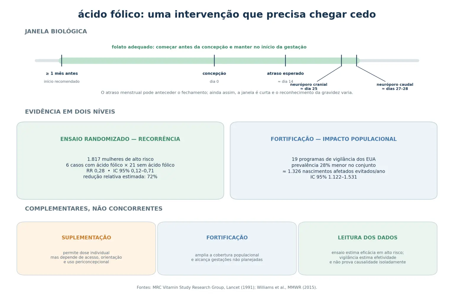 Linha do tempo mostrando o fechamento dos neuroporos antes do primeiro atraso menstrual e do teste positivo, comparação entre intervenção comportamental e estrutural, e dois blocos contrastando o risco relativo de 0,28 do ensaio com o de 0,69 da fortificação populacional.