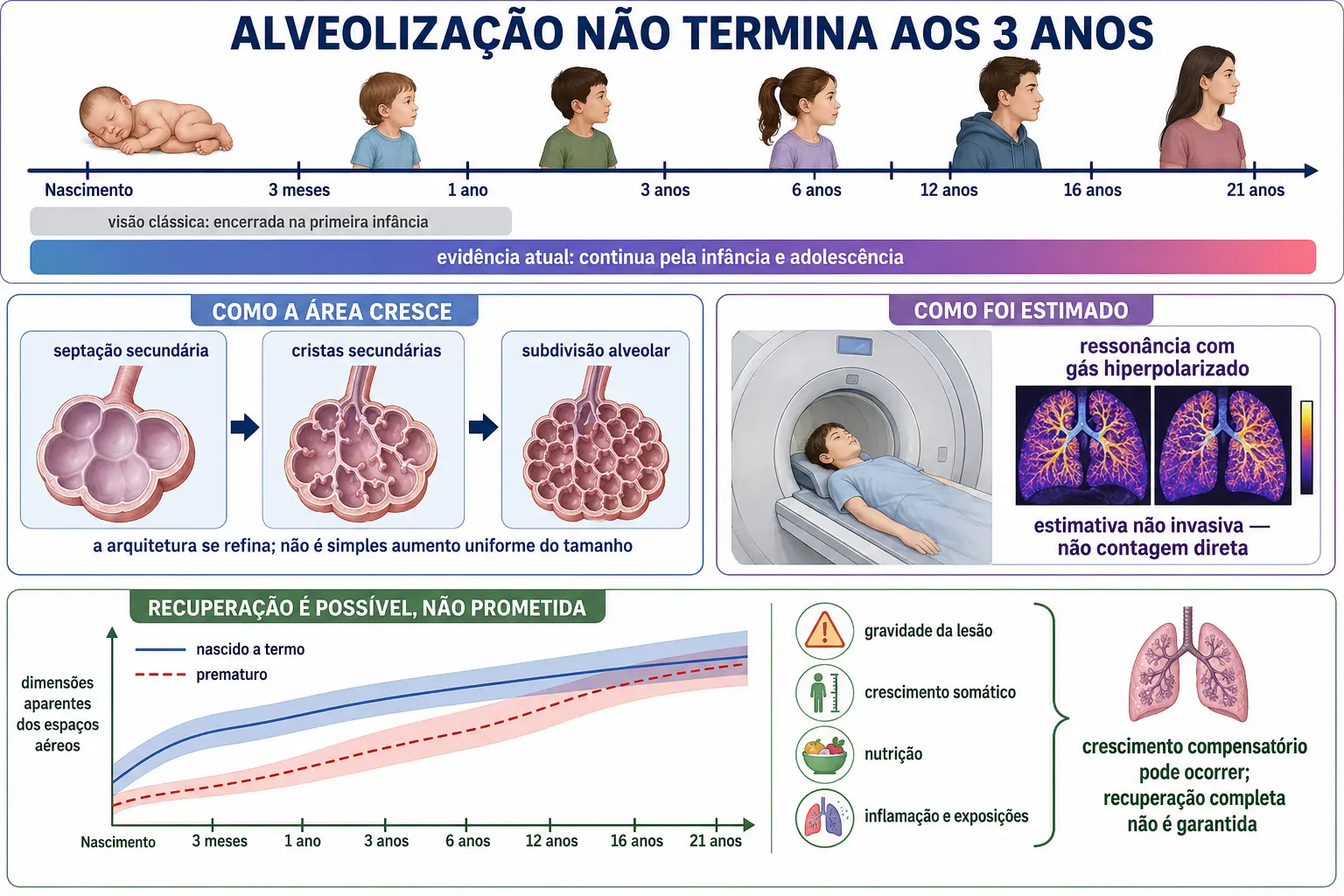 Linha do tempo comparando a afirmação clássica de alveolização encerrada aos 3 anos com a medida que a estende até os 21, esquema da septação secundária em três quadros, e comparação entre os três grupos de escolares mostrando alveolização de recuperação.