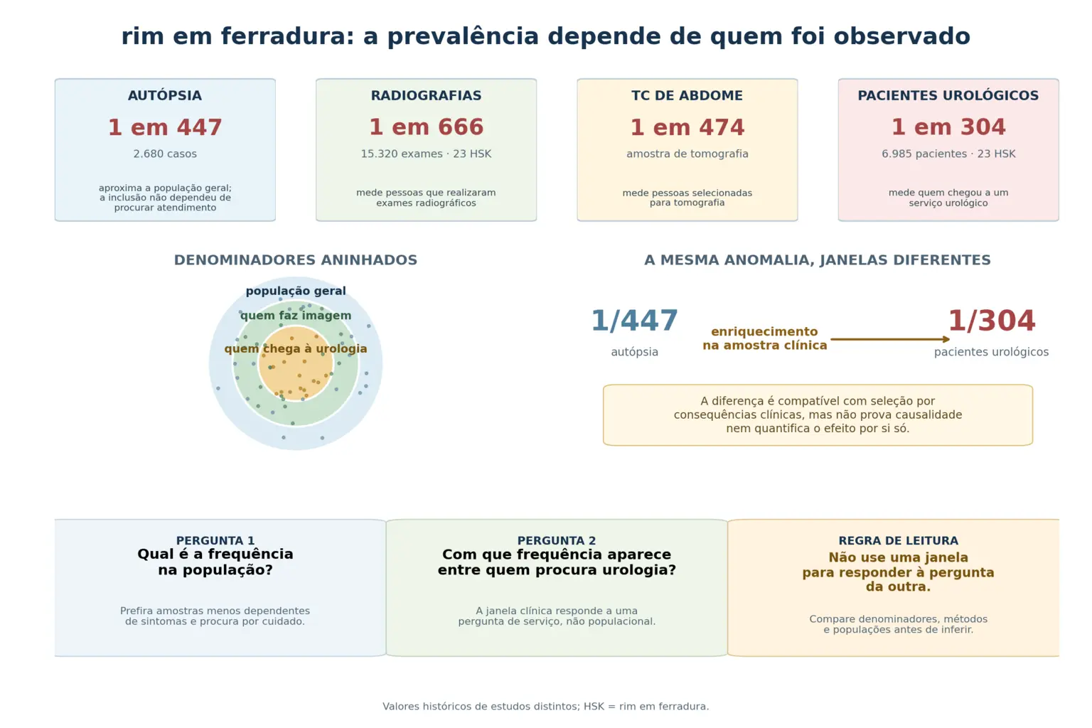 Quatro blocos com as prevalências de rim em ferradura por autópsia, revisão radiológica, tomografia e pacientes urológicos, diagrama de círculos concêntricos mostrando os denominadores, e a comparação entre autópsia e série urológica com o excesso medindo a consequência clínica.