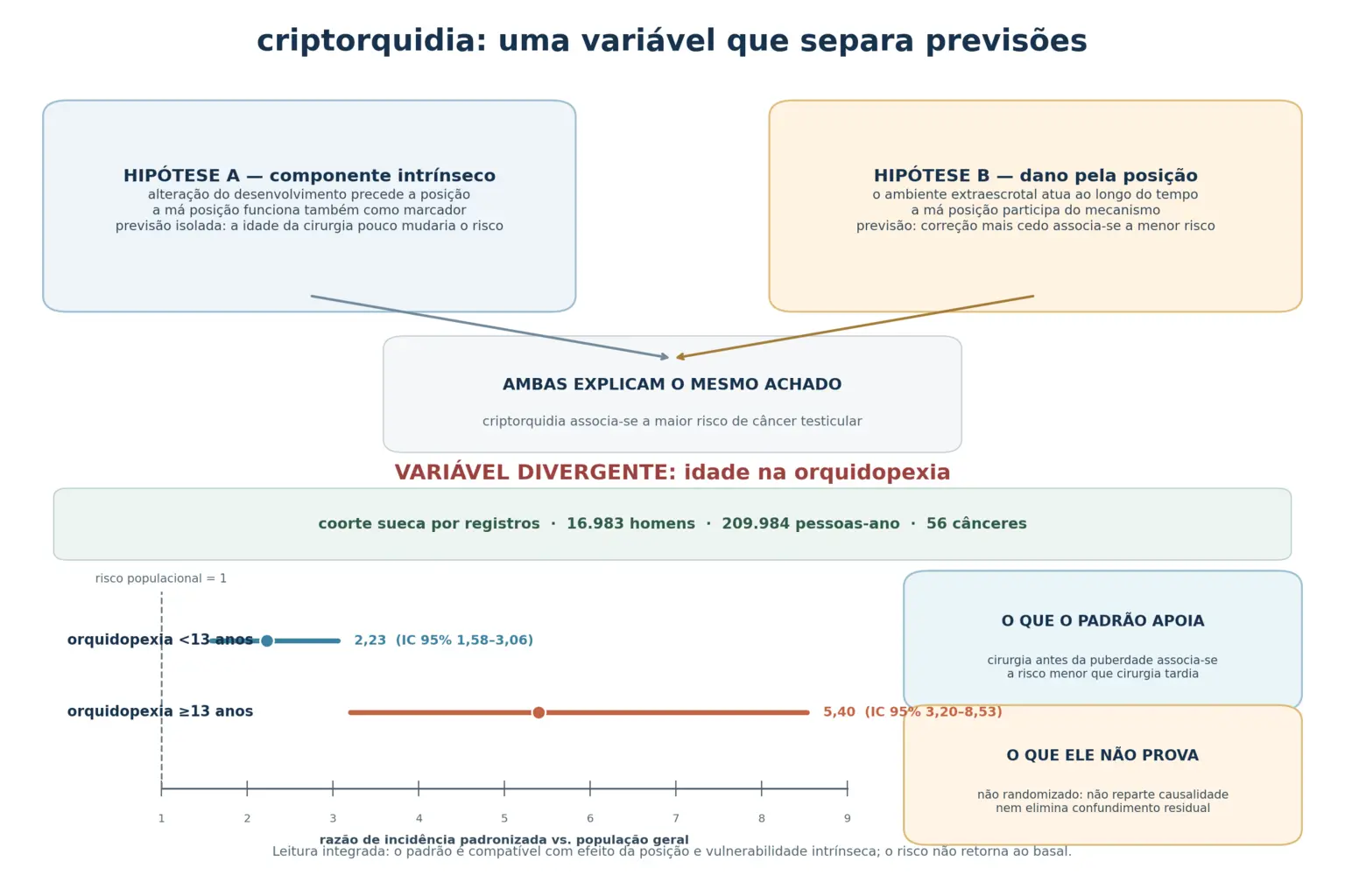 Infográfico com as duas hipóteses convergindo para a mesma previsão principal, o destaque da idade da cirurgia como variável divergente, e as duas barras de risco relativo de 2,23 e 5,40 com a leitura de que a posição contribui e o componente intrínseco também existe.