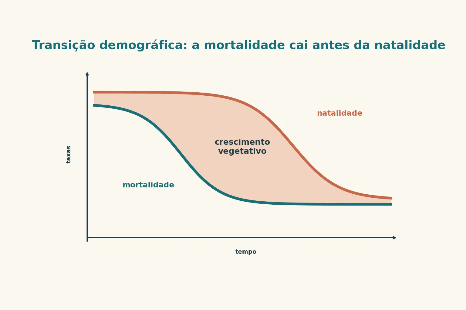 Gráfico com duas curvas descendentes: a de mortalidade começa a cair antes da de natalidade, e a área entre as duas, destacada, representa o crescimento populacional acelerado da fase intermediária.