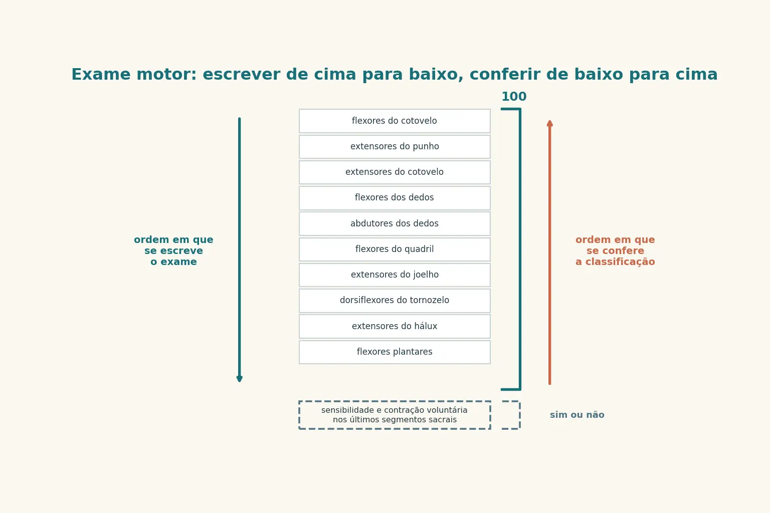Pilha de dez blocos de grupos musculares com seta descendente à esquerda e ascendente à direita; abaixo, um bloco tracejado separado, com uma chave de cem pontos para a pilha e uma chave de sim ou não para o bloco de fora.
