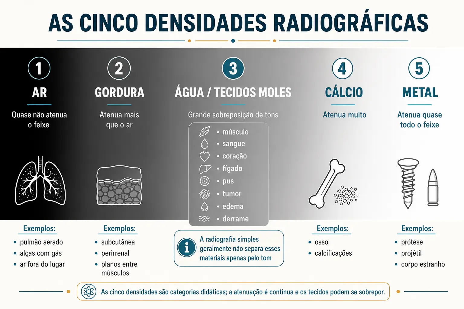 Faixa em degradê dividida em cinco blocos: ar, gordura, água, cálcio e metal, com a faixa da água reunindo todos os tecidos moles.
