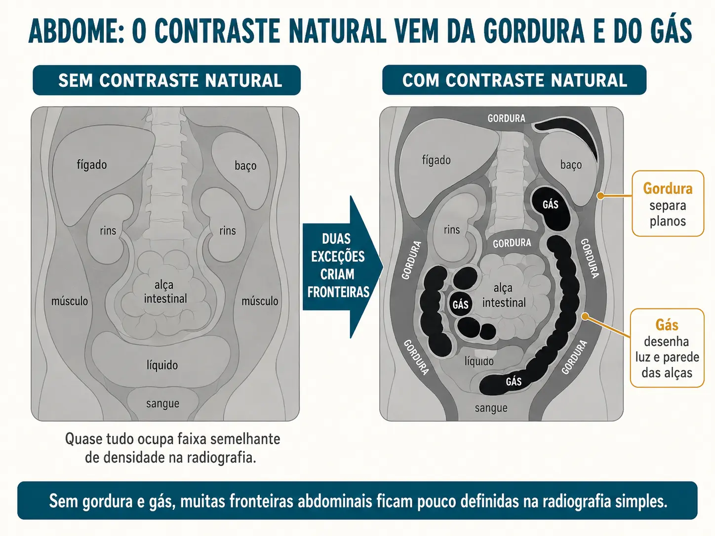 Retângulo quase todo em cinza uniforme e, ao lado, o mesmo retângulo com gordura em cinza escuro e gás em preto desenhando contornos.