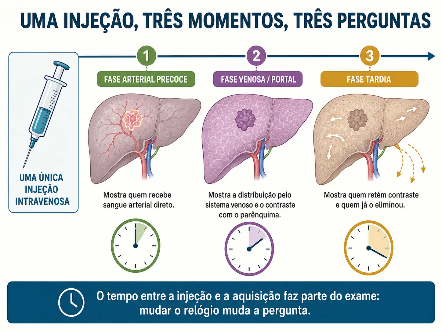 Linha do tempo com fase arterial, fase venosa e fase tardia após uma única injeção, e o que cada uma revela.