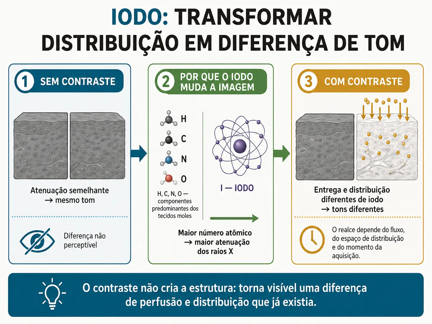 Três painéis mostrando dois tecidos indistinguíveis sem contraste e distintos com contraste, com o iodo como átomo que atenua mais.