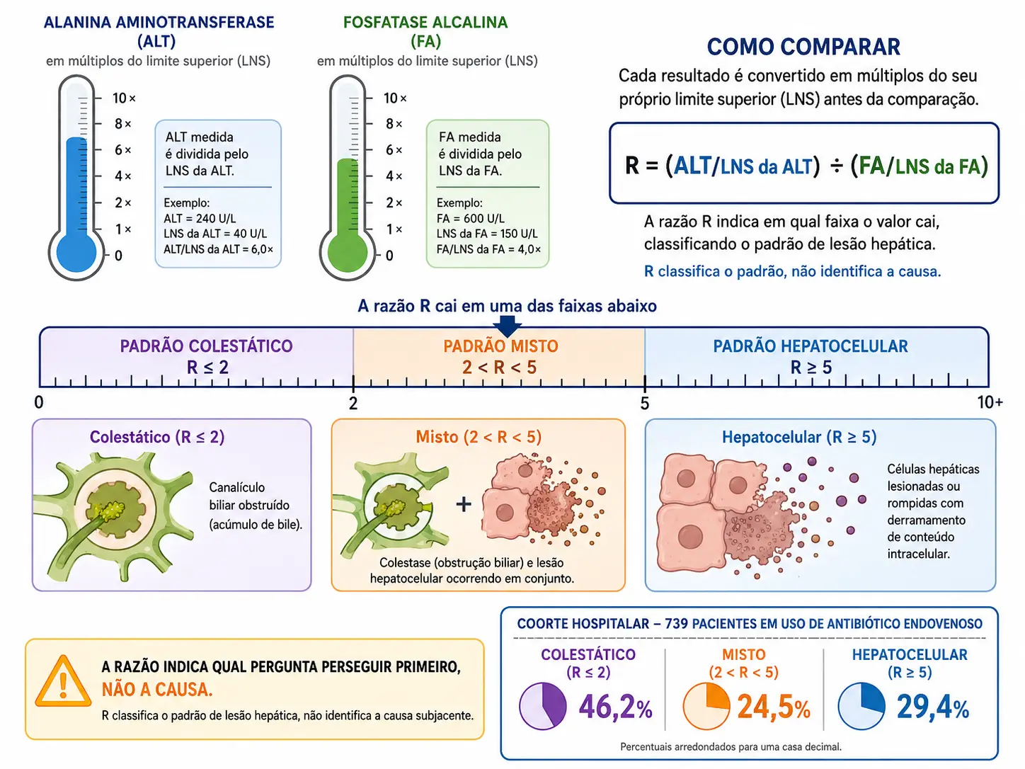 Dois termômetros convertendo cada enzima em múltiplos do próprio limite e uma régua de três faixas: colestático, misto e hepatocelular.