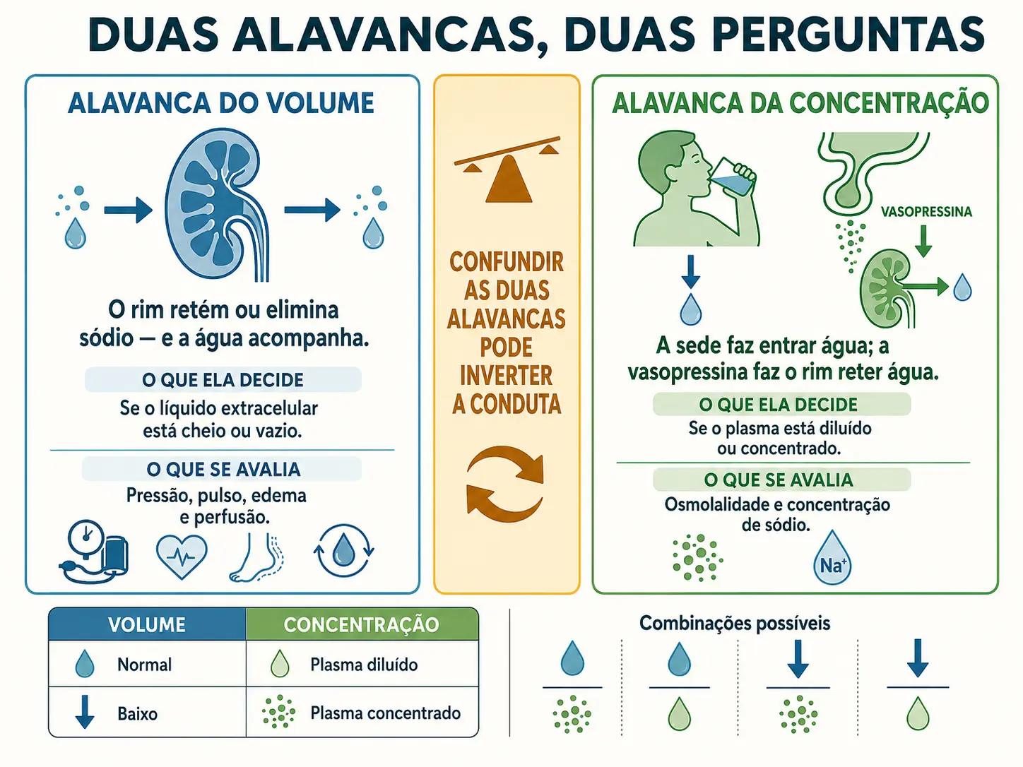 Duas colunas: a alavanca do volume governada pelo sódio renal e a alavanca da concentração governada pela sede e pelo hormônio antidiurético.