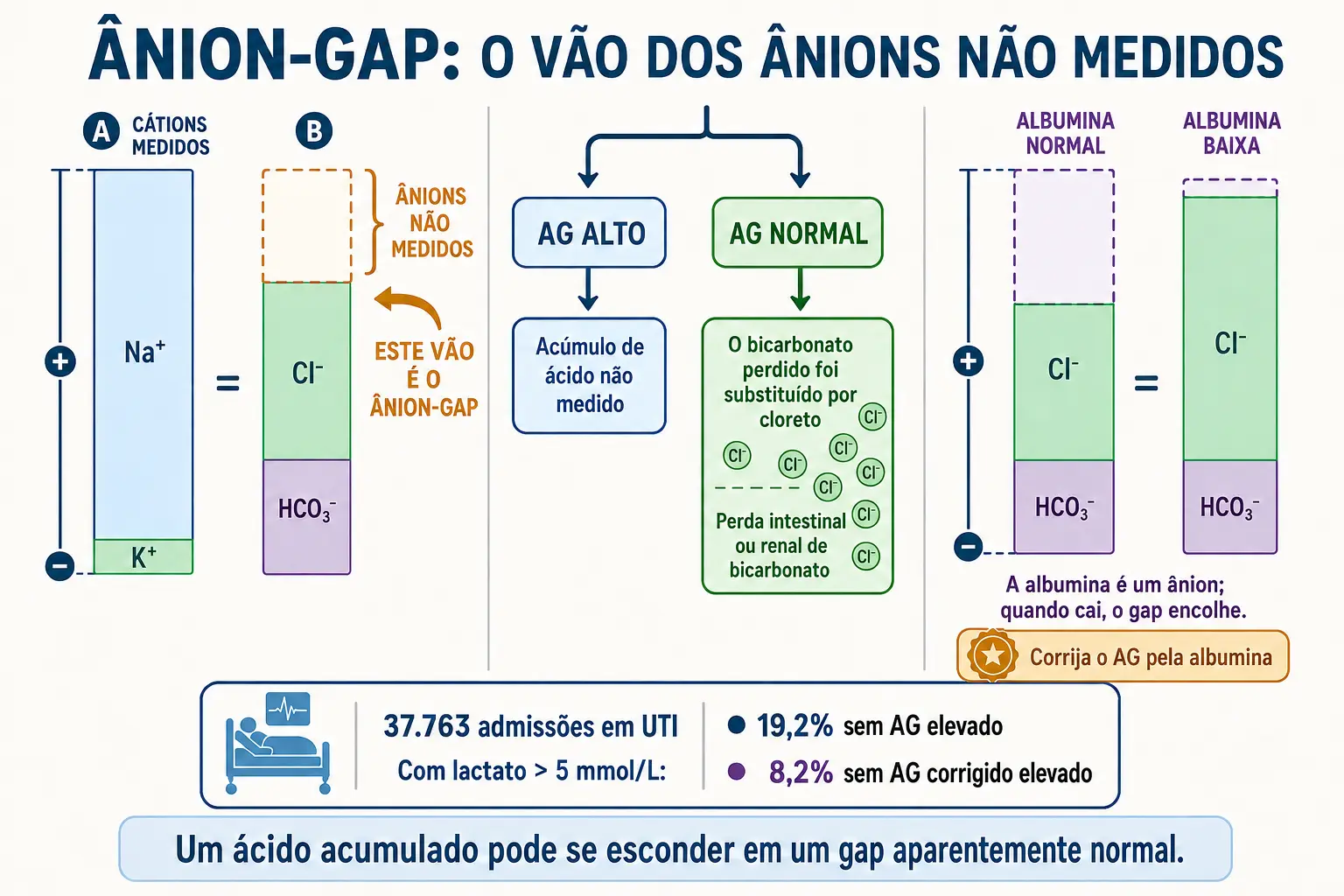 Colunas de cátions e ânions com o vão do ânion-gap, as duas famílias de acidose e o efeito da albumina baixa sobre o vão.