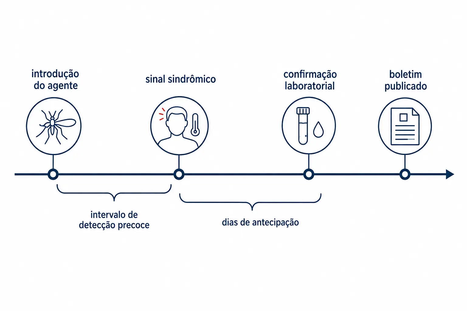 Linha do tempo com introdução do agente, sinal sindrômico, confirmação laboratorial e boletim, com os intervalos marcados.