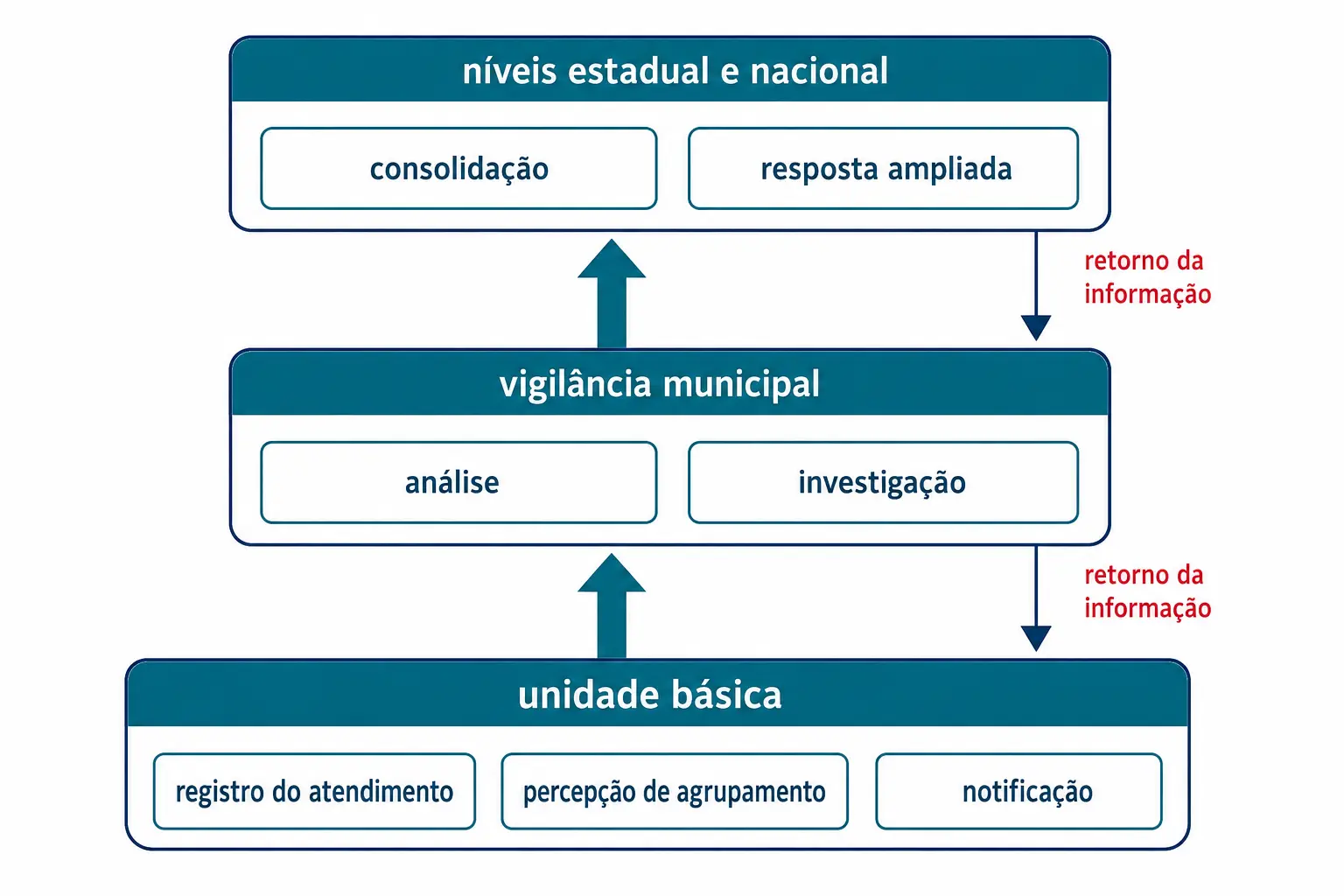 Fluxo da vigilância, da unidade básica aos níveis superiores, com retorno da informação.