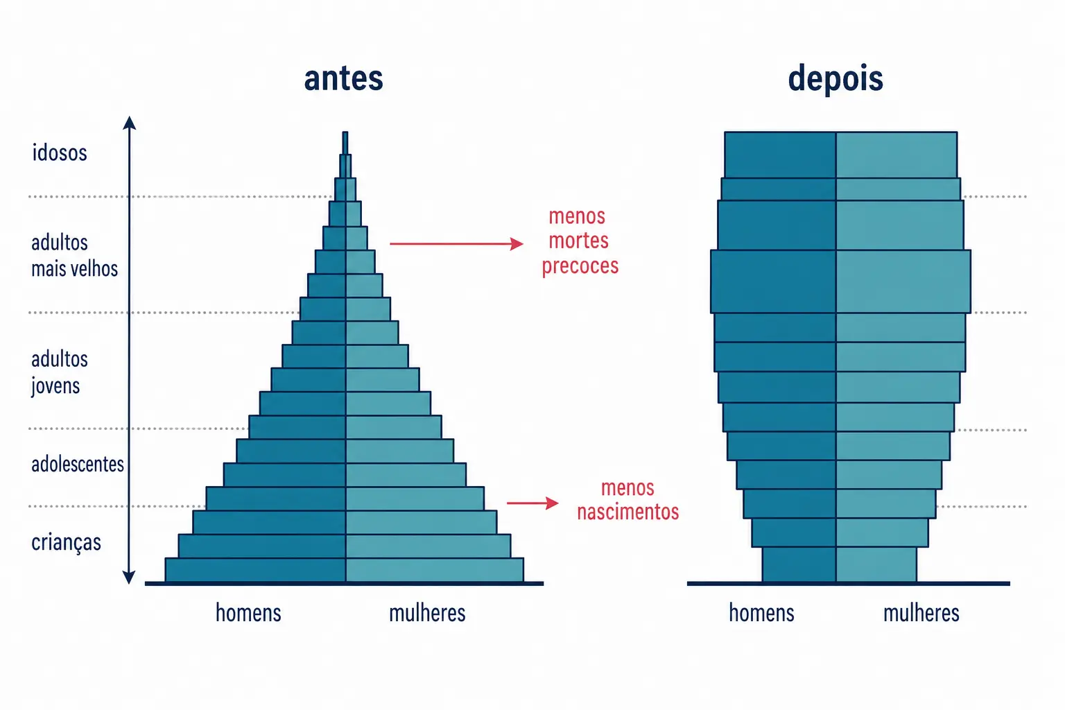 Duas pirâmides etárias: uma triangular e outra quase retangular, com setas indicando queda de natalidade e de mortalidade precoce.