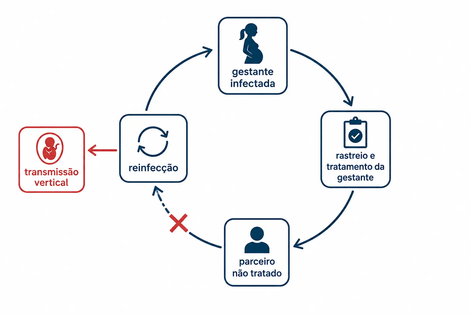 Ciclo de reinfecção da sífilis na gestação, com o parceiro não tratado fechando o circuito e levando à transmissão vertical.