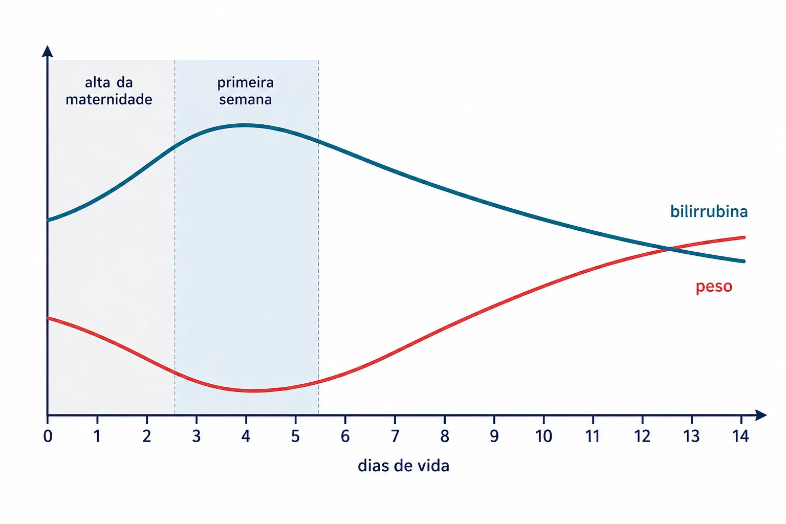 Curvas de bilirrubina e de peso nos primeiros catorze dias, com a alta ocorrendo antes dos pontos críticos de ambas.
