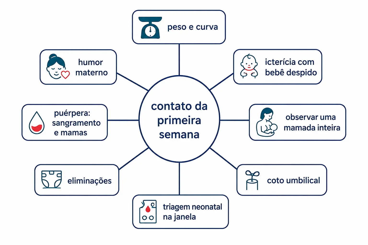 Roda com os oito alvos da avaliação da primeira semana, cobrindo recém-nascido e puérpera.