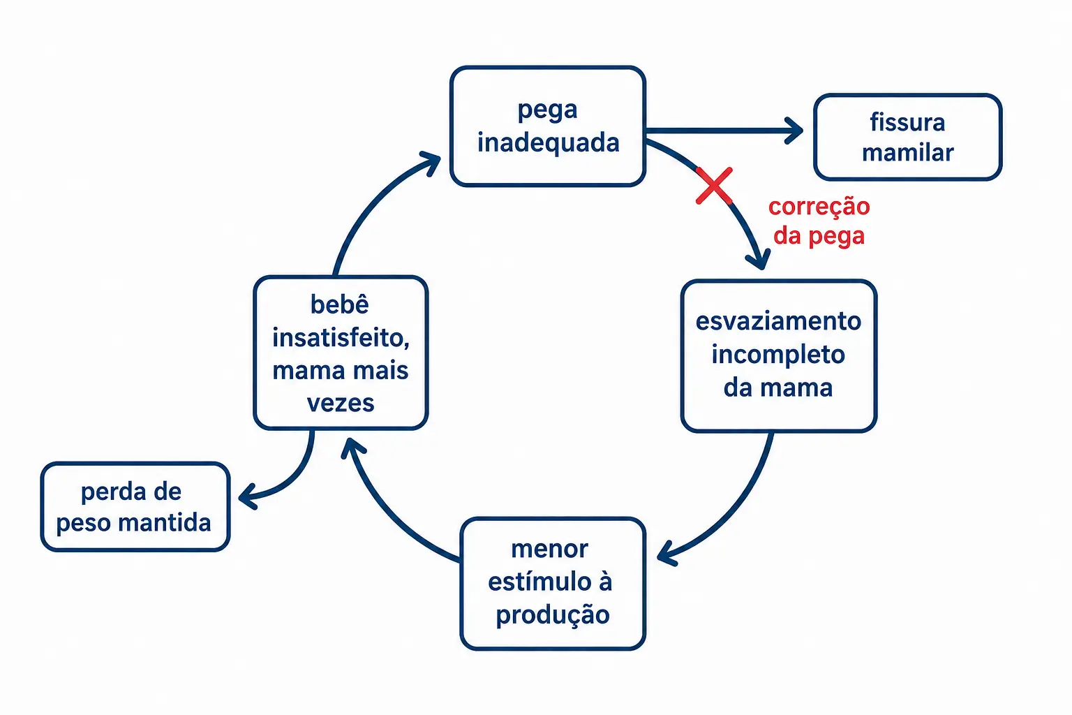 Ciclo da amamentação ineficaz, com fissura e perda de peso como consequências e a correção da pega como ponto de interrupção.