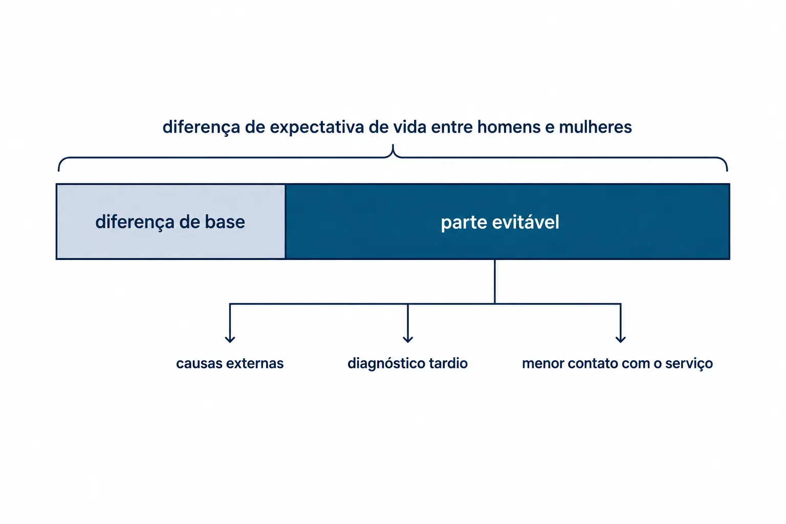 Barra da diferença de expectativa de vida entre sexos, com a parte evitável destacada e suas causas principais.