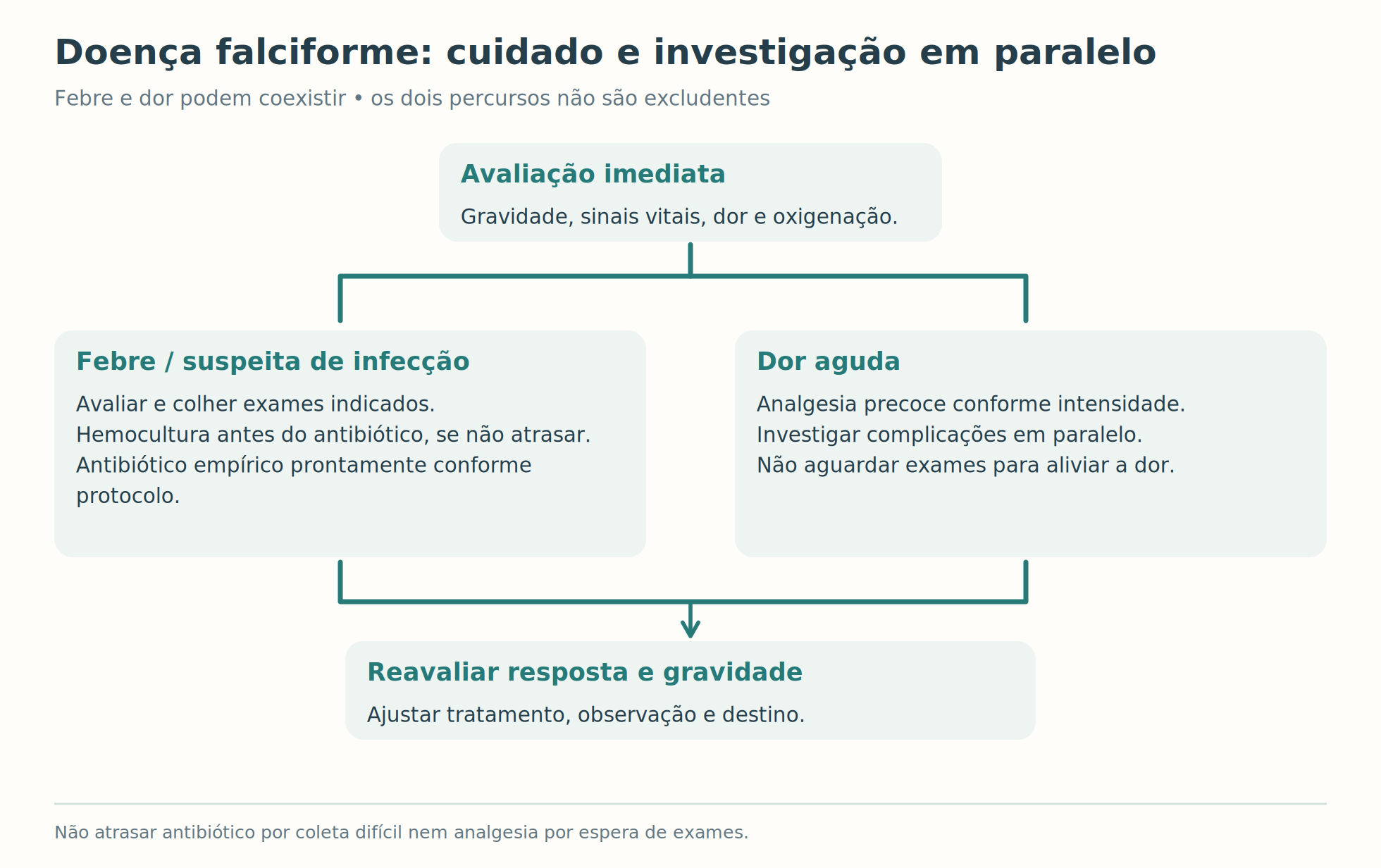 Fluxo de avaliação imediata, febre, dor e reavaliação.