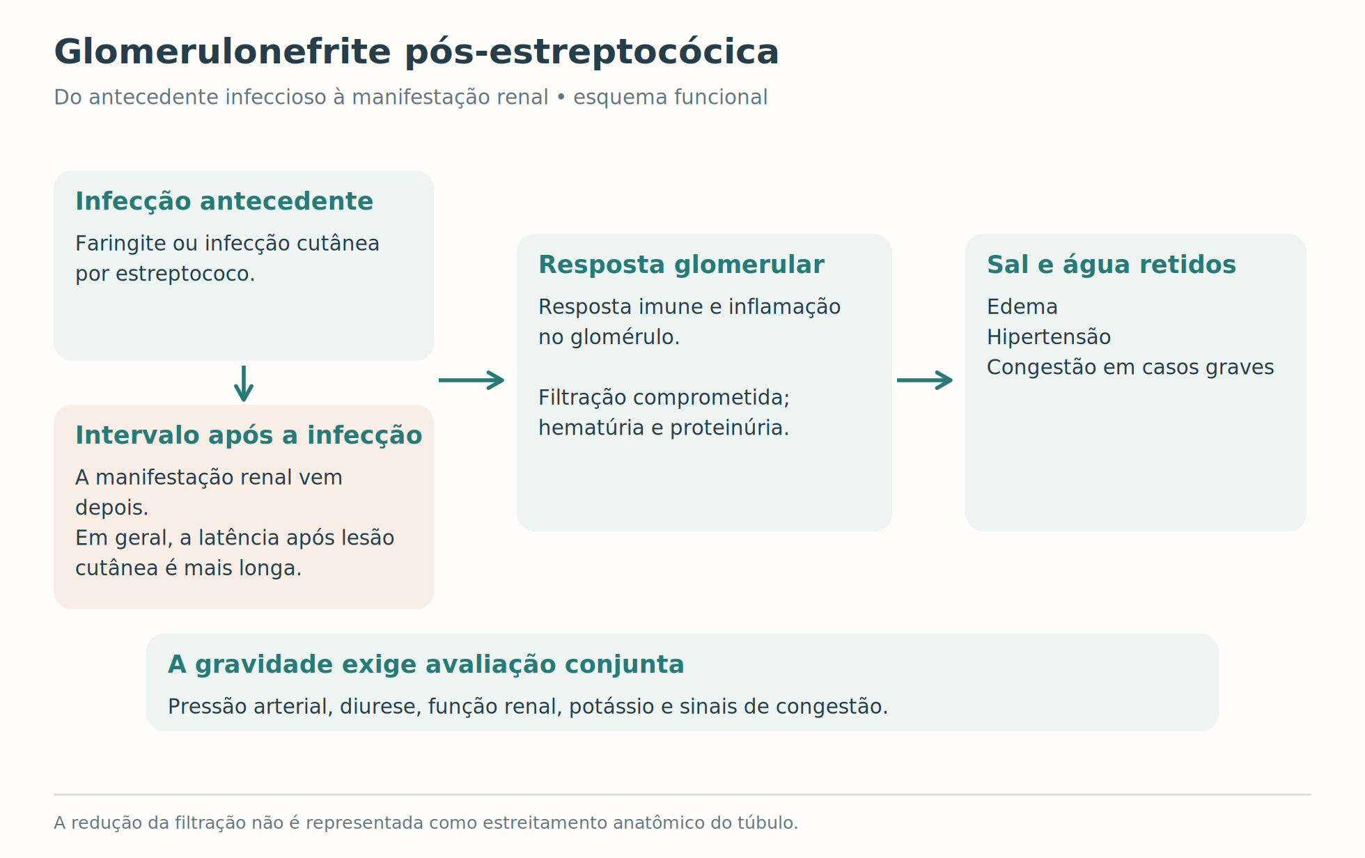 Fluxo funcional da infecção antecedente à resposta glomerular e retenção hidrossalina.