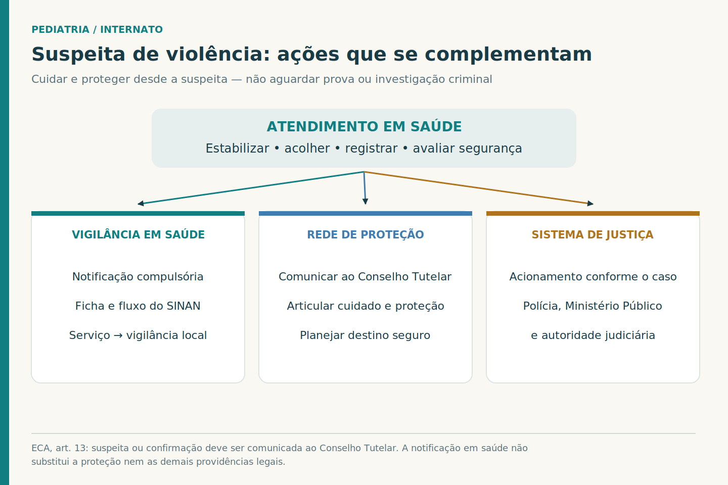 Fluxo com atendimento em saúde como ponto inicial e três frentes complementares: vigilância em saúde, rede de proteção e sistema de justiça.