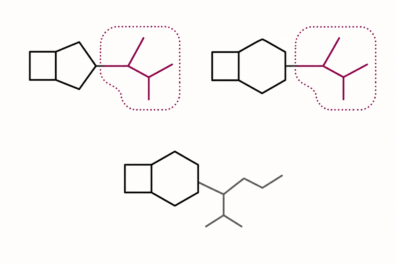 Três estruturas betalactâmicas simplificadas: penicilina e cefalosporina compartilham cadeia lateral idêntica destacada; uma segunda cefalosporina apresenta cadeia lateral diferente