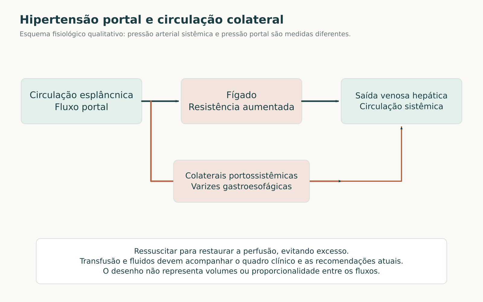 Mapa do fluxo portal, da resistência intra-hepática e das colaterais portossistêmicas, relacionado à ressuscitação no sangramento.