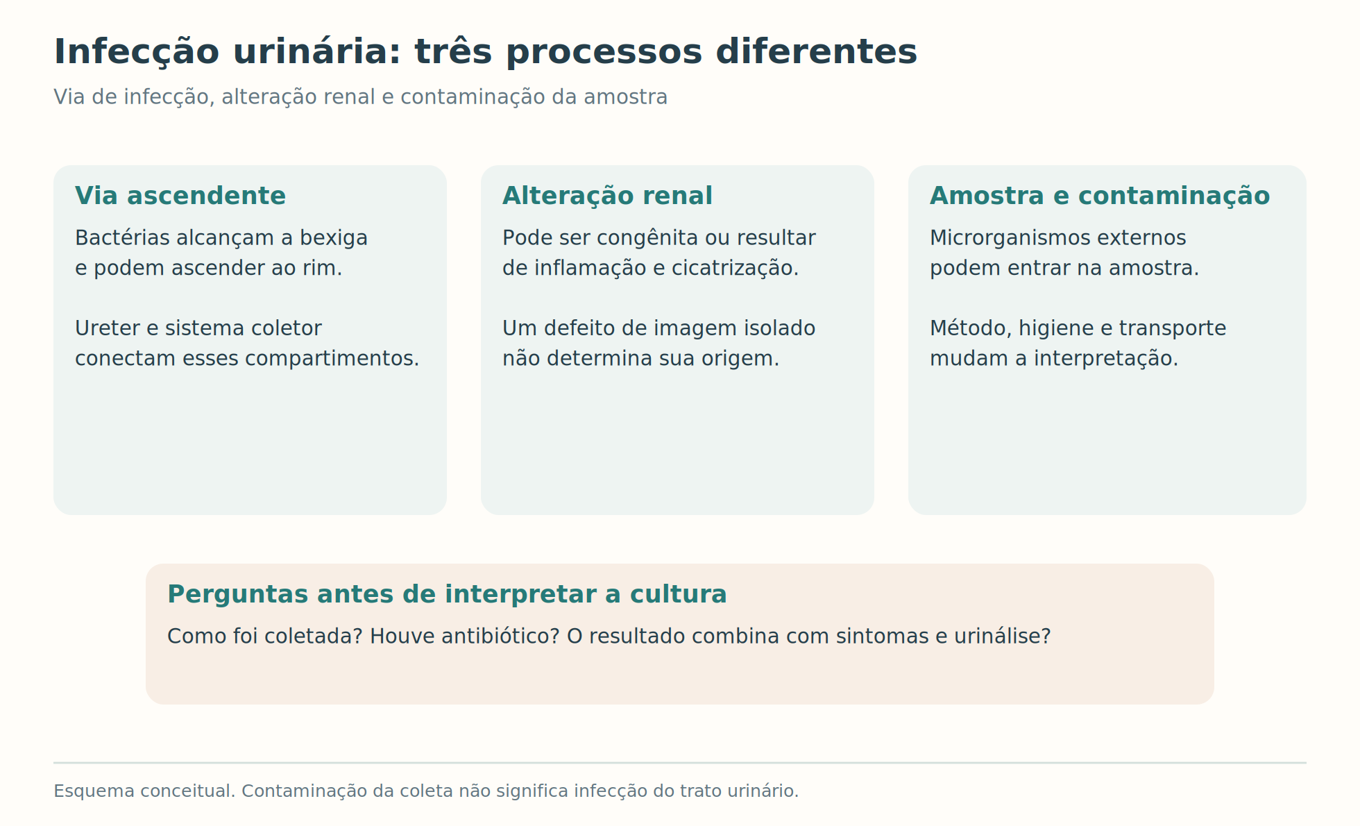 Três painéis distinguem infecção ascendente, alteração renal e contaminação da amostra.
