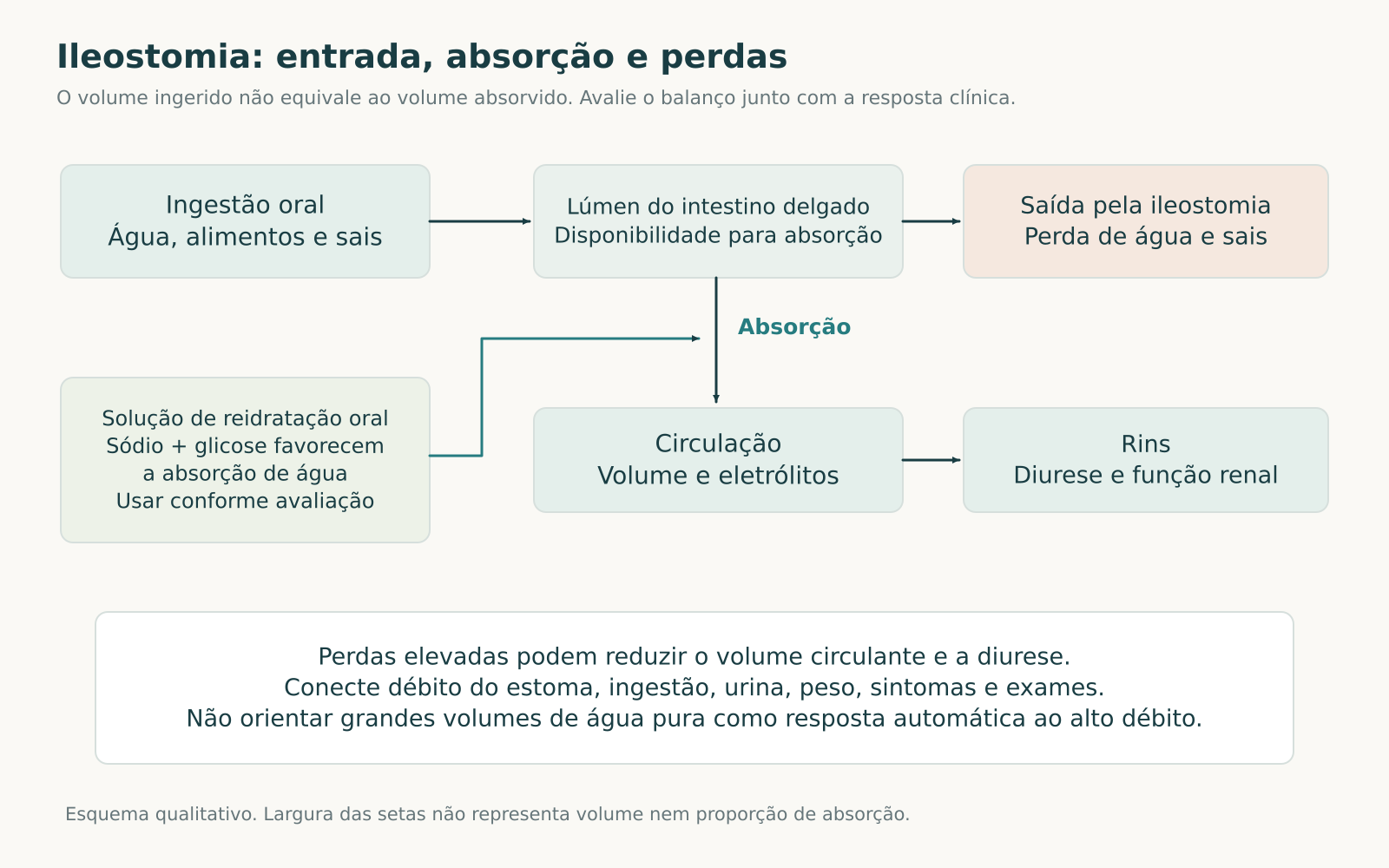 Diagrama relacionando ingestão, absorção no delgado, perdas pela ileostomia, circulação e resposta renal, com participação da reidratação oral.