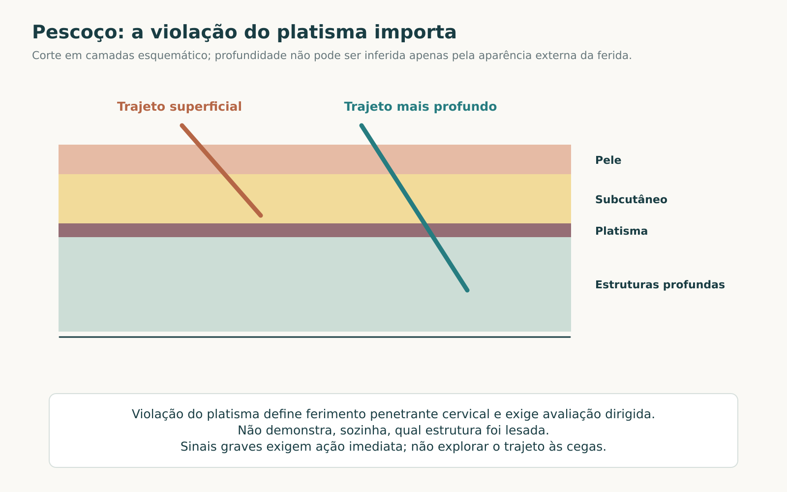 Corte cervical esquemático em pele, subcutâneo, platisma e estruturas profundas, com trajetos superficial e mais profundo.
