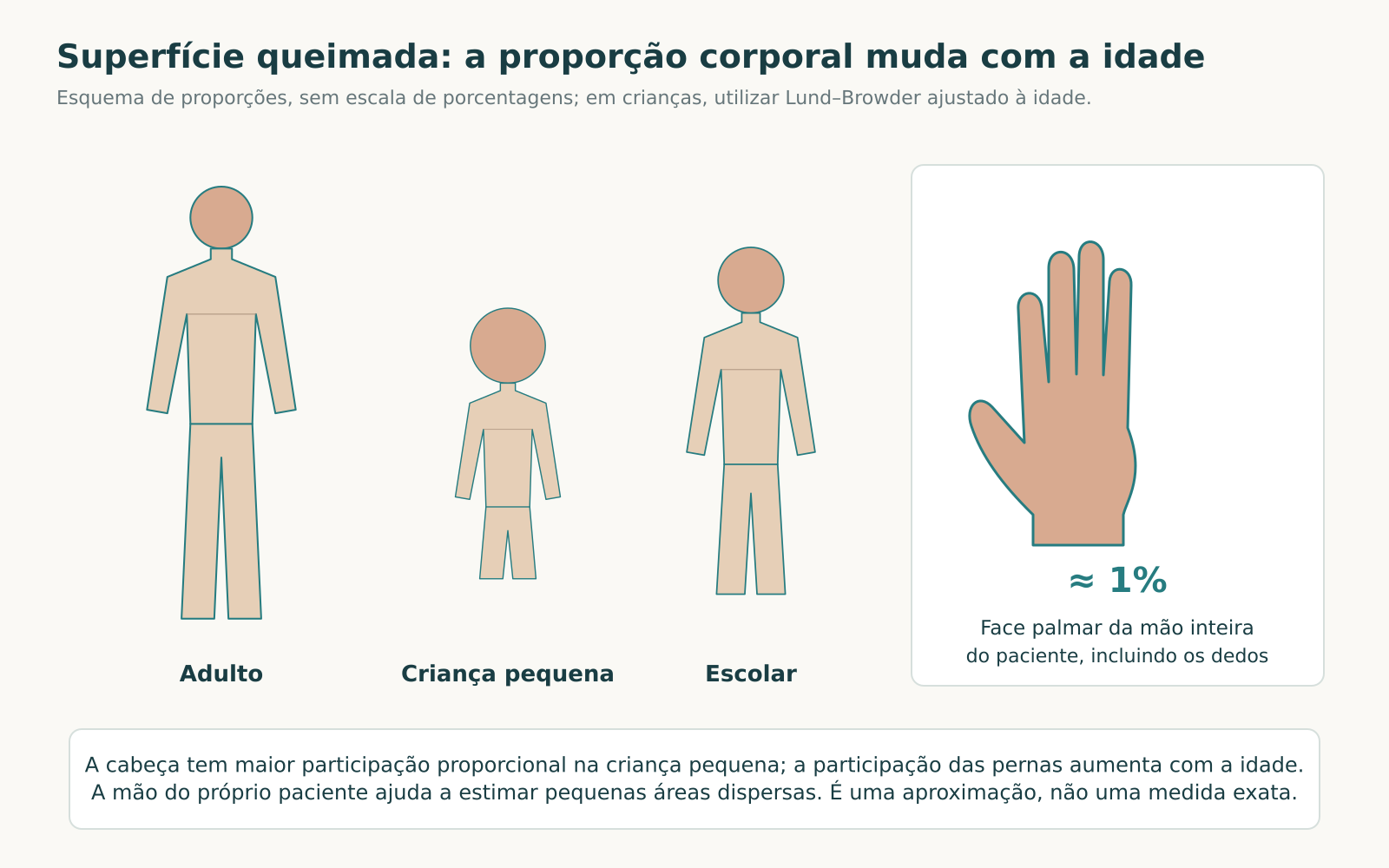 Silhuetas esquemáticas de adulto, criança pequena e escolar, acompanhadas da face palmar de uma mão inteira com cinco dedos e indicação aproximada de 1%.