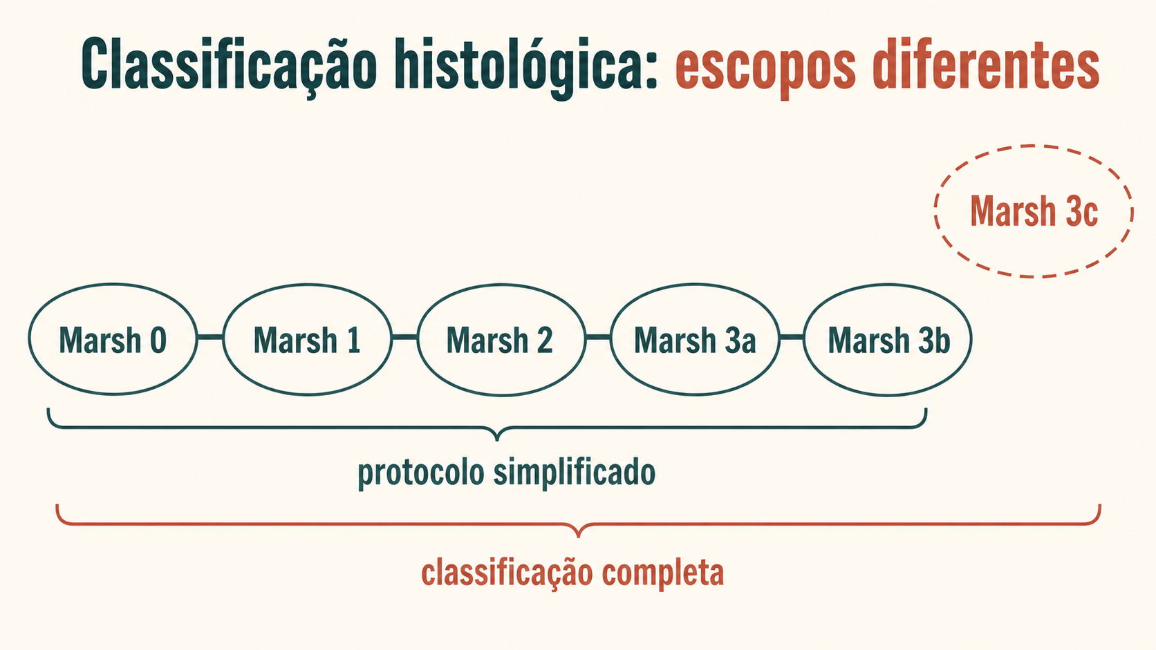 Cadeia da classificação histológica de Marsh de zero a três C, com o grau três C tracejado e separado para evidenciar diferenças de escopo entre classificações.