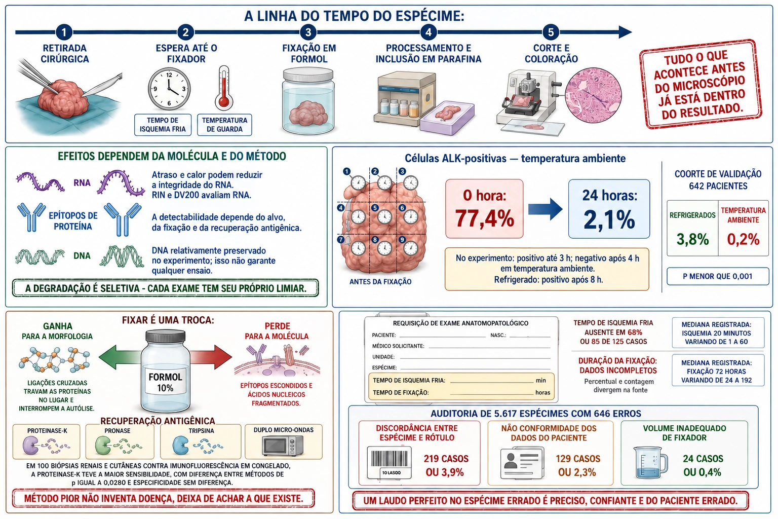 Linha do tempo do espécime; efeitos dependentes de molécula e método; dois valores observados de ALK sem interpolação; fixação, documentação e erros de identificação.